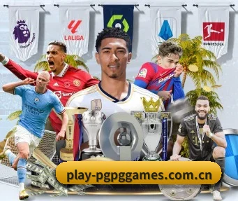play-pgpggames.com.cn APP